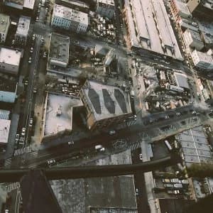 Show Me The Body - Dog Whistle Vinyl