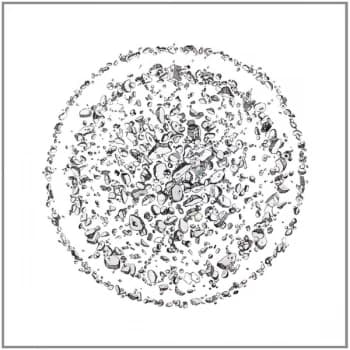 Golden Retriever - Occupied With The Unspoken Vinyl