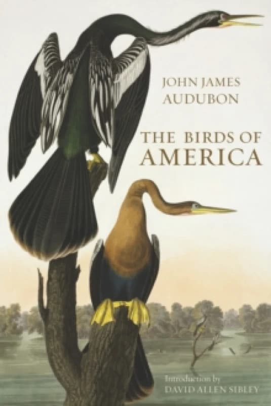 The Birds of America Hardback