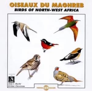 Oiseaux Du Maghreb Birds of NW Africa by Birdsong CD Album