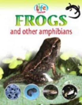 Frogs and Other Amphibians by Sally Morgan Paperback