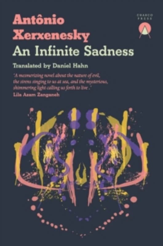 An Infinite Sadness Paperback / softback