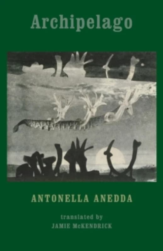 Archipelago Paperback / softback