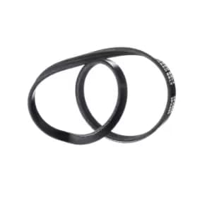 RIDEX V-ribbed belt 305P0435 Serpentine belt,Auxiliary belt FIAT,HYUNDAI,NISSAN,STILO (192),STILO Multi Wagon (192),Strada Pickup (178_)