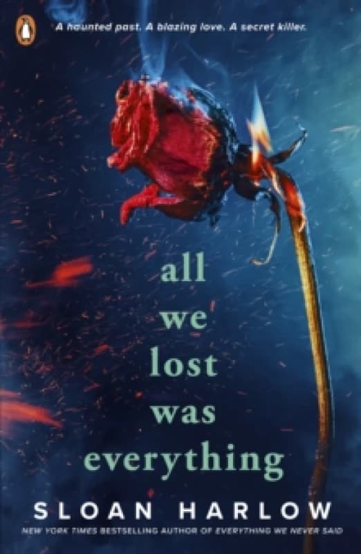 All We Lost Was Everything Paperback / softback
