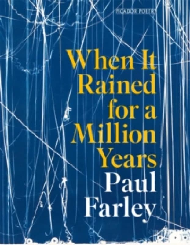 When It Rained for a Million Years. Paperback. By Paul Farley Books