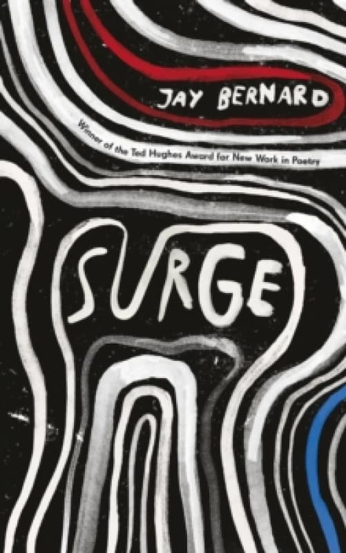 Surge Paperback / softback