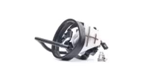 RIDEX Fuel Pump BMW 458F13737 16141183176,16141183216,16146752368