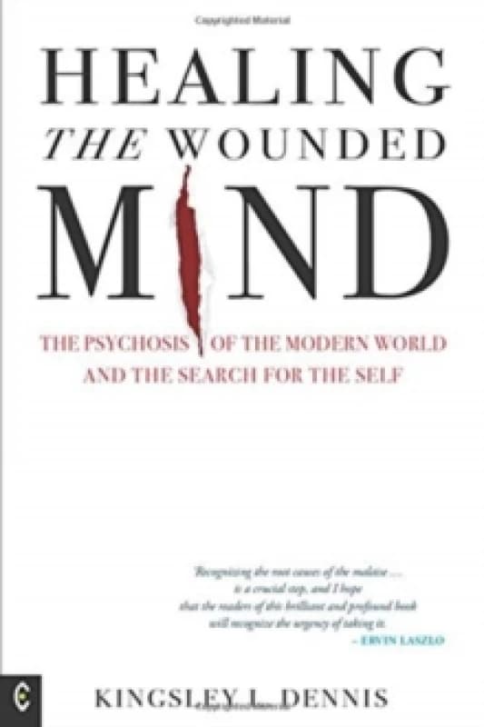Healing the Wounded Mind : The Psychosis of the Modern World and the Search for the Self Paperback / softback