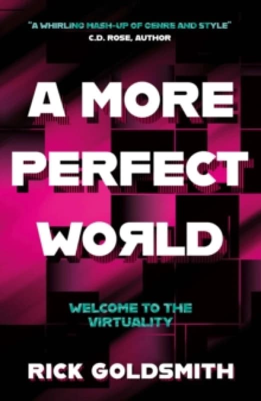 A More Perfect World Paperback / softback