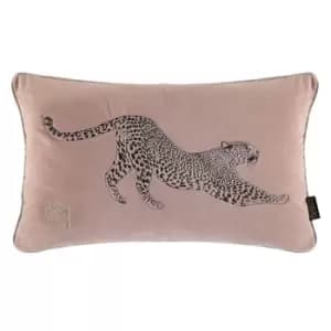 Biba Biba Velv Leoprd Cush 24 - Pink