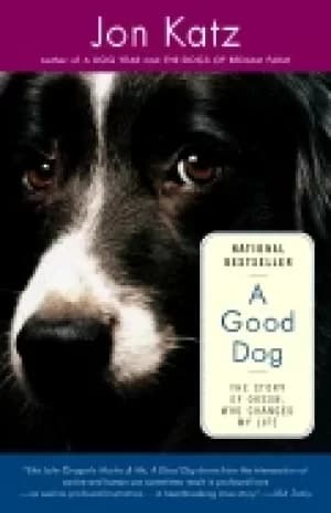 good dog the story of orson who changed my life