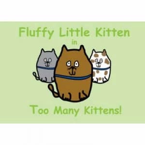 Fluffy Little Kitten in Too Many Kittens by Rob Bassett Paperback