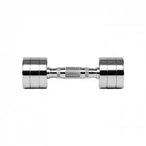 Everlast Chrome Dumbbell - Chrome 4KG