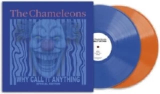 What Does Anything Mean? Basically Vinyl