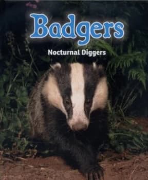 Badgers by Rebecca Rissman Hardback