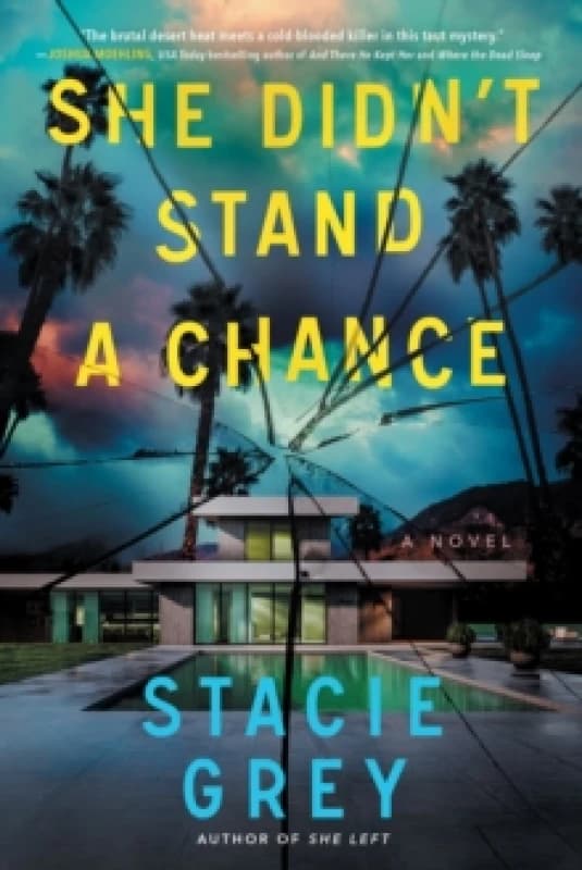 She Didn't Stand a Chance : A Novel Paperback / softback