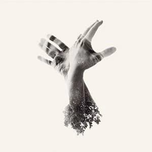 Last Dinosaur - The Nothing Vinyl