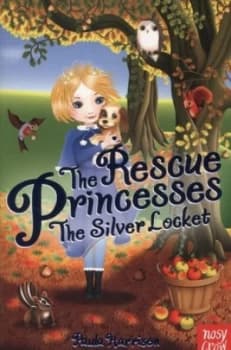 The Silver Locket by Paula Harrison Paperback