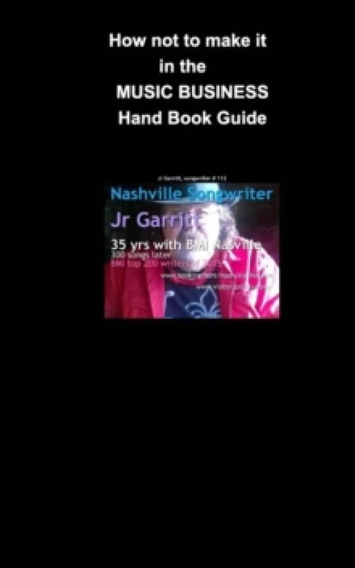 How not to make it in the Music Business : Almost Famous Paperback / softback