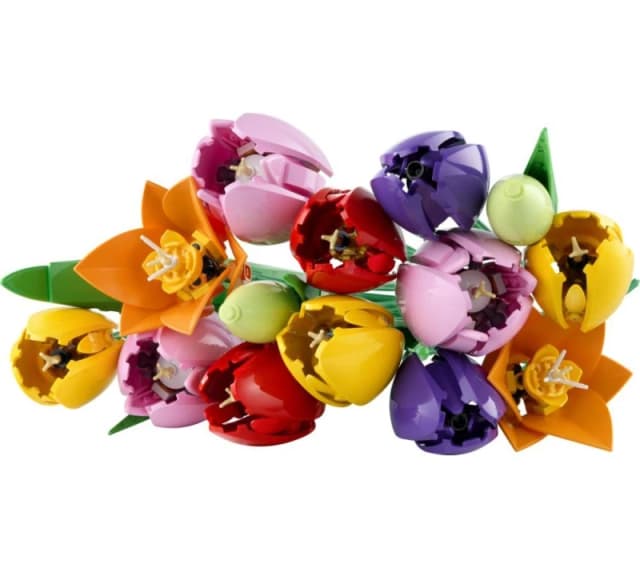 LEGO Botanicals 11501 Tulip Bouquet Set for Adults 5702018061770
