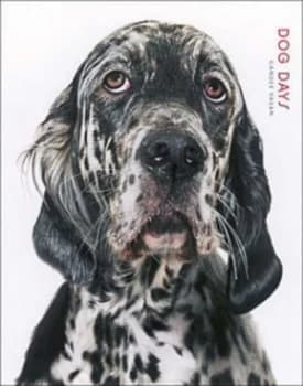 Dog Days by Gandee Vasan Hardback