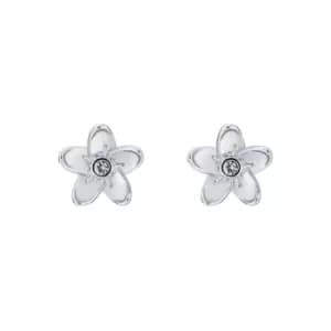 Ted Baker BEAAUU Blossom Flower Stud Earring - Silver