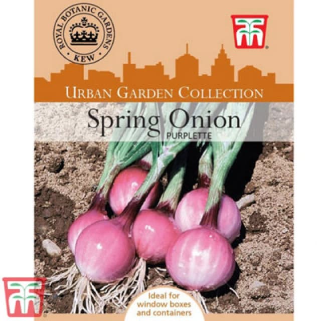 Thompson & Morgan Spring Onion Purplette 1 Seed Packet (250 Seeds)