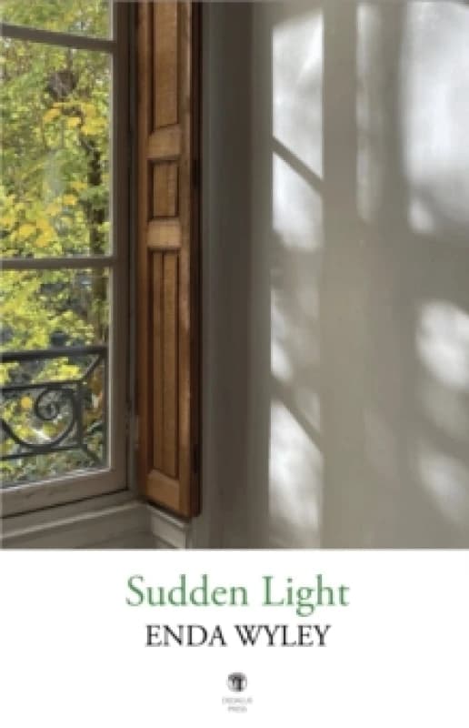 Sudden Light Paperback / softback