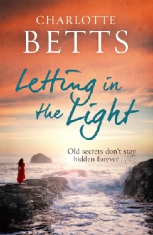 Letting in the Light Paperback / softback