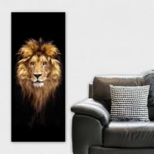 DKY4353413202_50120 Multicolor Decorative Canvas Painting