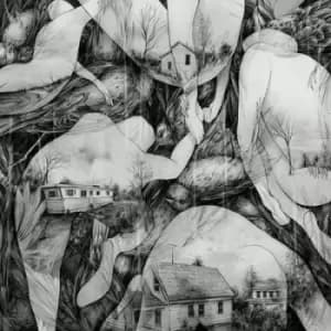 Rays of Darkness by Mono CD Album