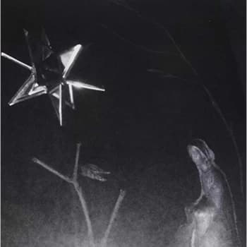 Nobody Aka Willis Earl Beal - MORNINGSTAR (WHITE VINYL) Vinyl