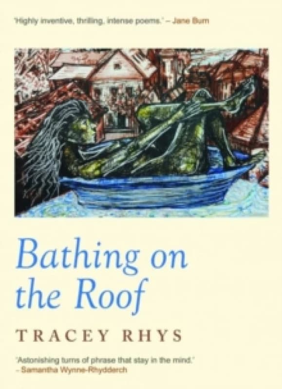 Bathing on the Roof Paperback / softback