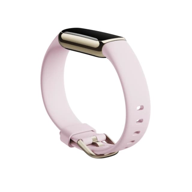 Fitbit Fitbit Smart Wearable Accessories Band - Pink Silicone (FB180ABPKS) FB180ABPKS