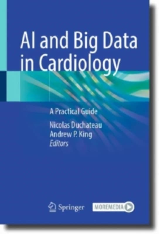 AI and Big Data in Cardiology : A Practical Guide Hardback