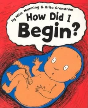 How Did I Begin by Mick Manning Paperback