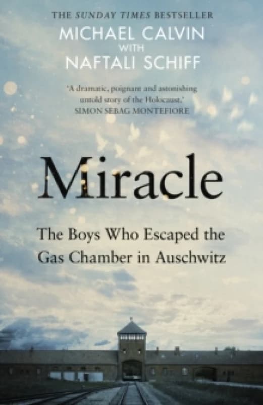 Miracle. Hardback. By Mike Calvin, Naftali Schiff Books