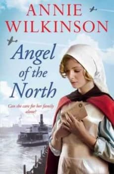 Angel of the North by Annie Wilkinson Paperback