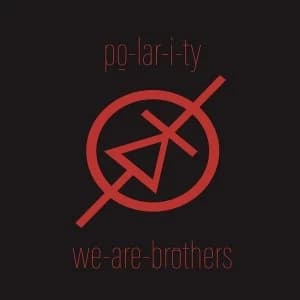 Po-lar-i-ty - We are brothers Vinyl