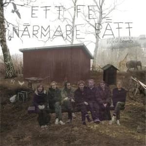 Den Svenska Björnstammen - Ett Fel Närmare Rätt Vinyl