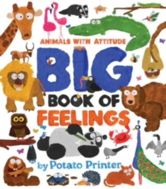 Big Book of Feelings Hardback