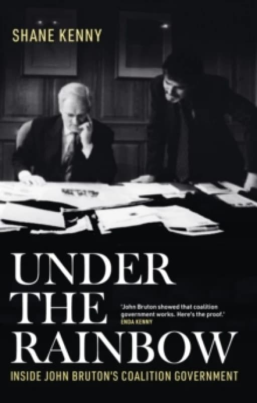 Under the Rainbow : Inside John Bruton's coalition government Hardback
