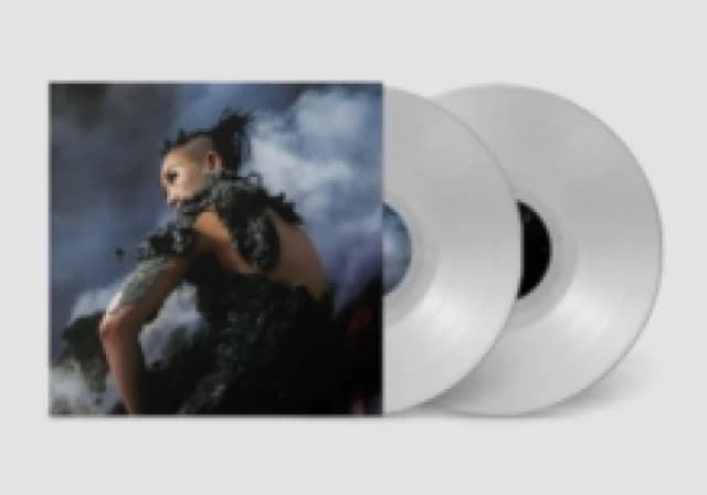 Holes of Sinian Vinyl