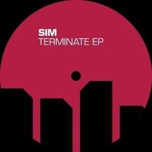 Sim - Terminate Vinyl
