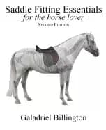 saddle fitting essentials