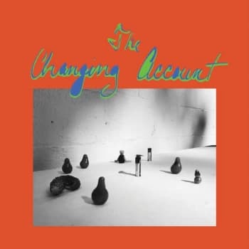 G.S. Schray - The Changing Account Vinyl