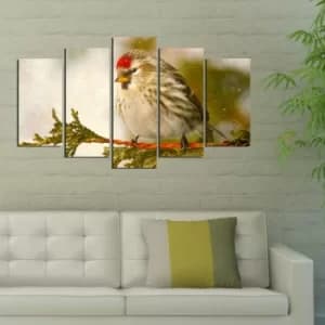 5MF-31 Multicolor Decorative MDF Painting (5 Pieces)