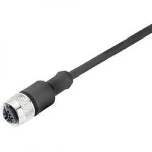 Binder 79 3430 32 04 Series 763 Sensor Connector