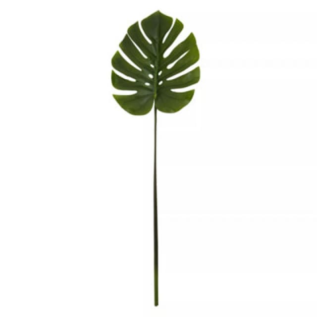 Premier Housewares Fiori 109cm Green Stem Monstera Palm Green